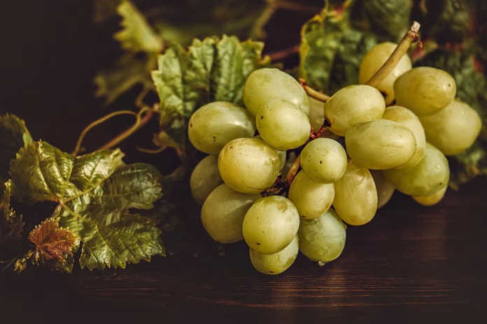 grapes-3696472_960_720.jpg healthy food