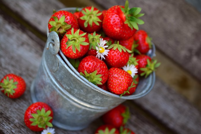 healthy food